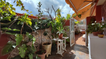 1 Bed  Flat / Apartment to Rent, Puerto de la Cruz, Tenerife - IC-AAP11845