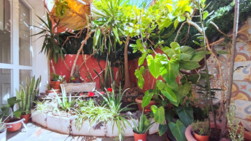 1 Bed  Flat / Apartment to Rent, Puerto de la Cruz, Tenerife - IC-AAP11845