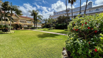 1 Bed  Flat / Apartment to Rent, Puerto de la Cruz, Tenerife - IC-AAP11849