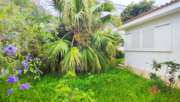3 Bed  Villa/House for Sale, Los Realejos, Tenerife - IC-VCH11858
