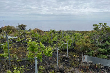  Villa/House for Sale, San Simón, Mazo, La Palma - LP-M169