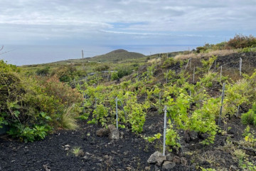  Villa/House for Sale, San Simón, Mazo, La Palma - LP-M169