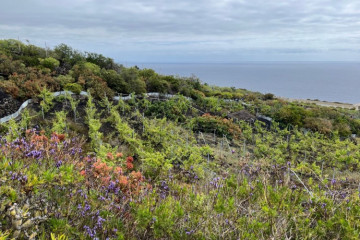  Villa/House for Sale, San Simón, Mazo, La Palma - LP-M169