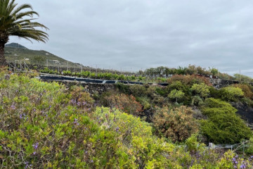  Villa/House for Sale, San Simón, Mazo, La Palma - LP-M169
