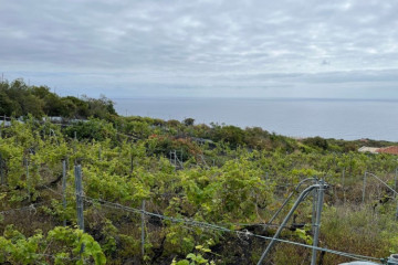  Villa/House for Sale, San Simón, Mazo, La Palma - LP-M169