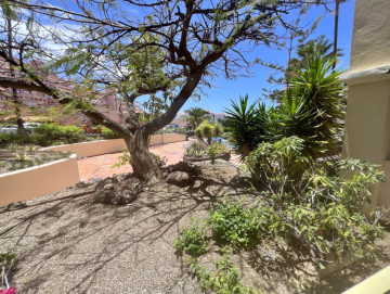 1 Bed  Flat / Apartment for Sale, Los Cristianos, Arona, Tenerife - MP-AP0974-1