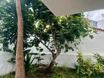 2 Bed  Flat / Apartment to Rent, Puerto de la Cruz, Tenerife - IC-AAP11889
