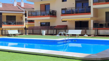1 Bed  Flat / Apartment to Rent, Puerto de la Cruz, Tenerife - IC-AAP11893