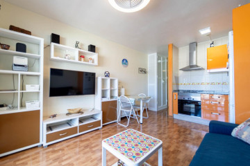1 Bed  Flat / Apartment for Sale, Mogán, LAS PALMAS, Gran Canaria - CI-06115-CA-2934