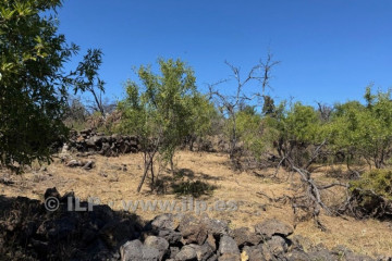  Villa/House for Sale, Tacande, El Paso, La Palma - LP-E842