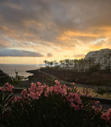 2 Bed  Flat / Apartment for Sale, Playa Paraiso, Tenerife - NP-04490