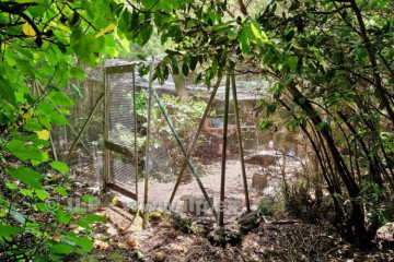 1 Bed  Villa/House for Sale, Las Ledas, Breña Alta, La Palma - LP-BA113