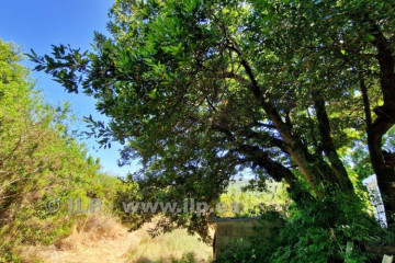 1 Bed  Villa/House for Sale, Las Ledas, Breña Alta, La Palma - LP-BA113