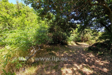 1 Bed  Villa/House for Sale, Las Ledas, Breña Alta, La Palma - LP-BA113