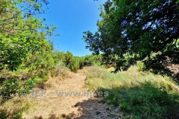 1 Bed  Villa/House for Sale, Las Ledas, Breña Alta, La Palma - LP-BA113