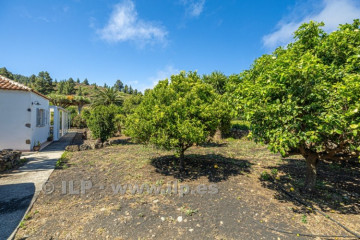 3 Bed  Villa/House for Sale, El Arenero, El Paso, La Palma - LP-E841