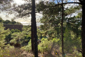  Villa/House for Sale, Pinto, Puntagorda, La Palma - LP-P110