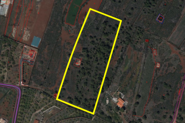 Villa/House for Sale, Pinto, Puntagorda, La Palma - LP-P110