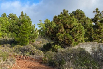  Villa/House for Sale, Pinto, Puntagorda, La Palma - LP-P110