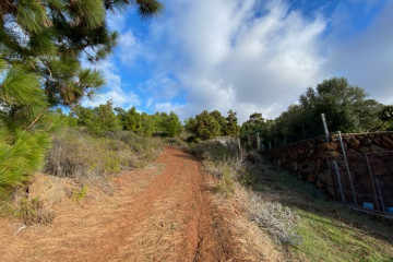  Villa/House for Sale, Pinto, Puntagorda, La Palma - LP-P110