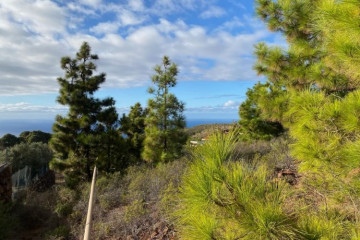  Villa/House for Sale, Pinto, Puntagorda, La Palma - LP-P110