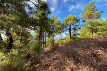  Villa/House for Sale, Pinto, Puntagorda, La Palma - LP-P110