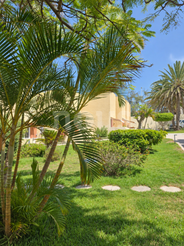 1 Bed  Villa/House for Sale, Las Americas (Adeje), Tenerife - NP-04510