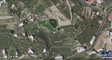  Land for Sale, San Miguel, Tenerife - TP-6700