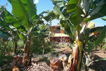  Villa/House for Sale, Los Lomitos, San Andrés y Sauces, La Palma - LP-LS01