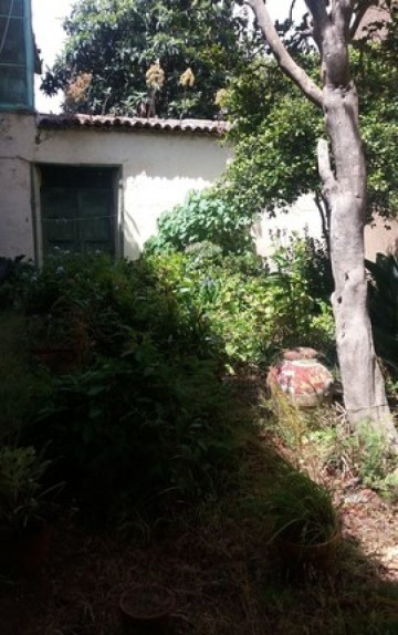 10 Bed  Villa/House for Sale, La Laguna, Tenerife - TP-7107