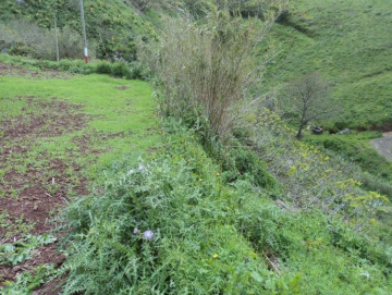  Villa/House for Sale, Las Palmas, Moya-Santa Maria de Guia, Gran Canaria - DI-9247
