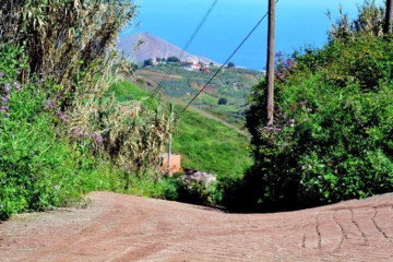  Villa/House for Sale, Las Palmas, Moya-Santa Maria de Guia, Gran Canaria - DI-9247