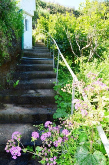  Villa/House for Sale, Las Palmas, Moya-Santa Maria de Guia, Gran Canaria - DI-9247