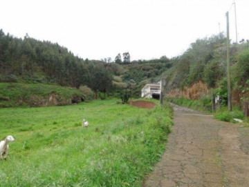 2 Bed  Villa/House for Sale, Las Palmas, Moya-Santa Maria de Guia, Gran Canaria - DI-11027