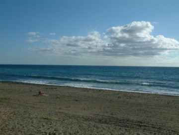  Commercial for Sale, Las Palmas, Meloneras, Gran Canaria - DI-2145
