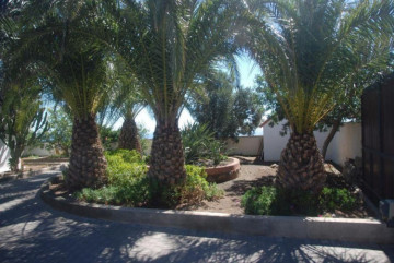4 Bed  Villa/House for Sale, Las Palmas, San Bartolomé Interior, Gran Canaria - DI-6995